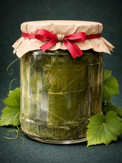 GRAPE LEAVES